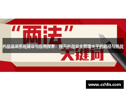 药品追溯系统建设与应用探索：提升药品安全管理水平的路径与挑战